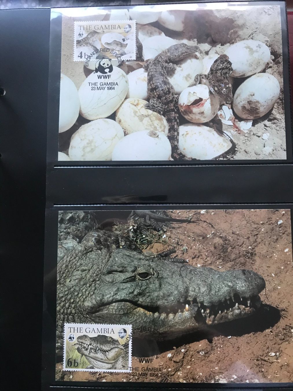 Tous les timbres: Gambia 1984 Satz WWF Nilkrokodil Maximumkarten – Neuf (Voir description) à Winterthur par schnueps