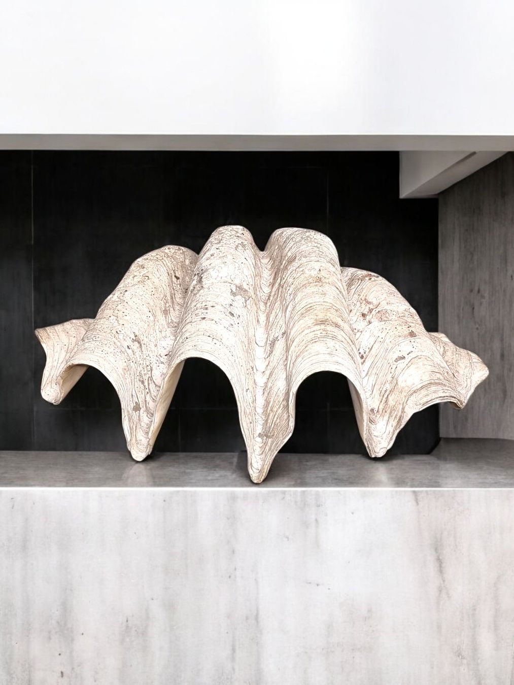 Fossilien: Riesenmuschel aus Indonesien – Gebraucht aus Zürich von Zuerichparis08 5
