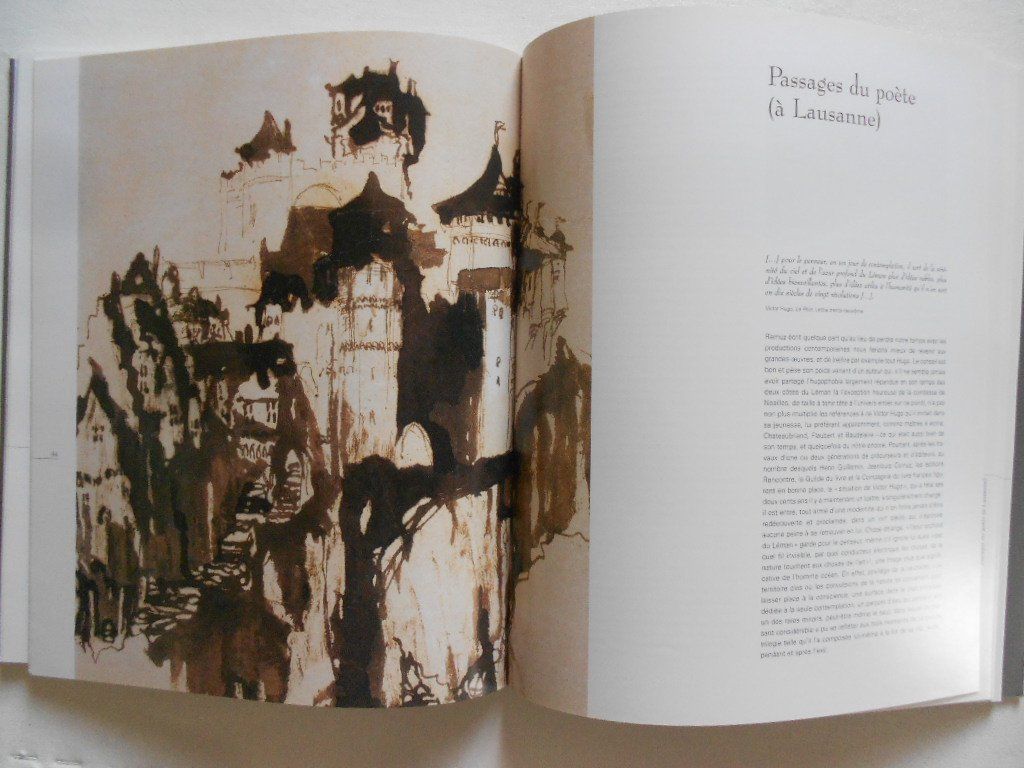 Livres: VICTOR HUGO  -  DESSINS VISIONNAIRES – D'occasion à Bex par Giorgiob 5