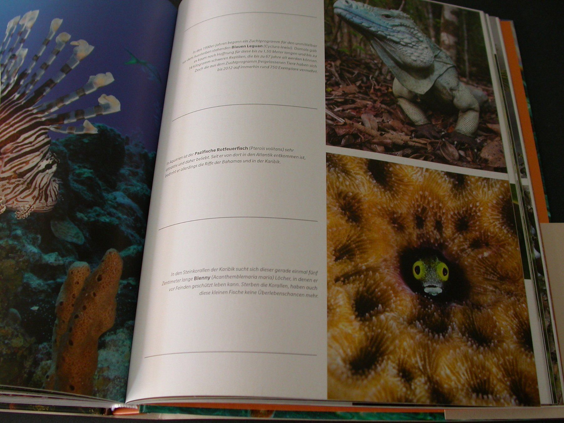 Libri: Die letzten Naturparadiese – Usato da Zürich venduto da Marcel6887 9
