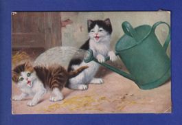 CHAT - Chatons farceurs - Arosoir // voir dos //