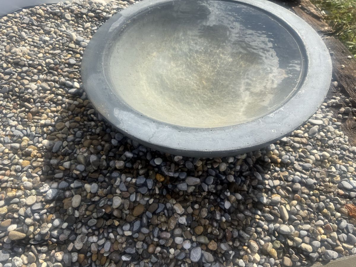 Schalen: Wasserschale – Gebraucht aus Horriwil von Carrera68 1