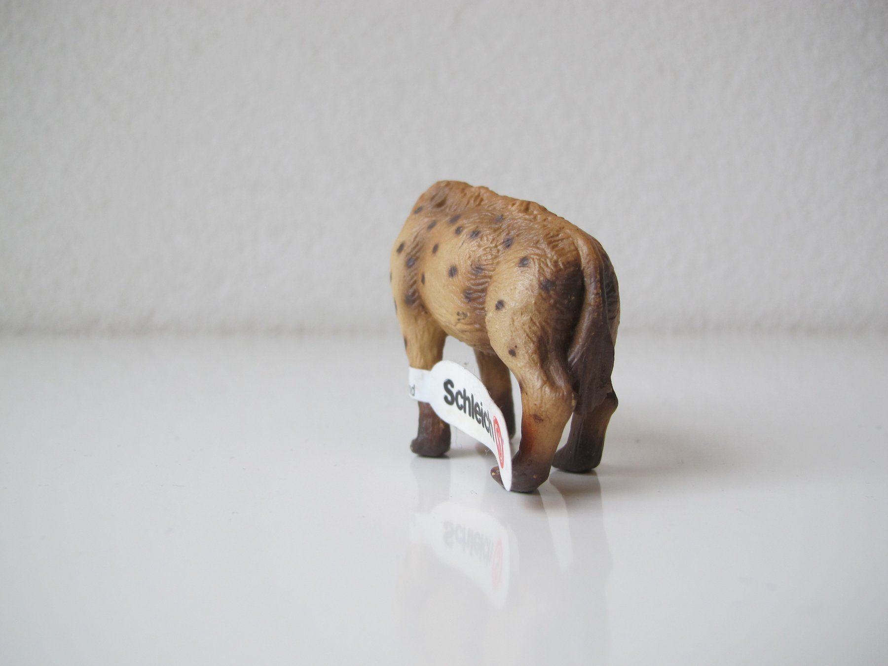 Schleich Statuette: Schleich 14347 Typfelhyäne – Usato da Vilters venduto da hedi00 4