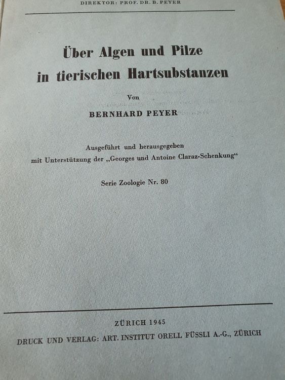 Über Algen und Pilze (Gebraucht) in Buchrain für CHF 2 – mit Lieferung ...