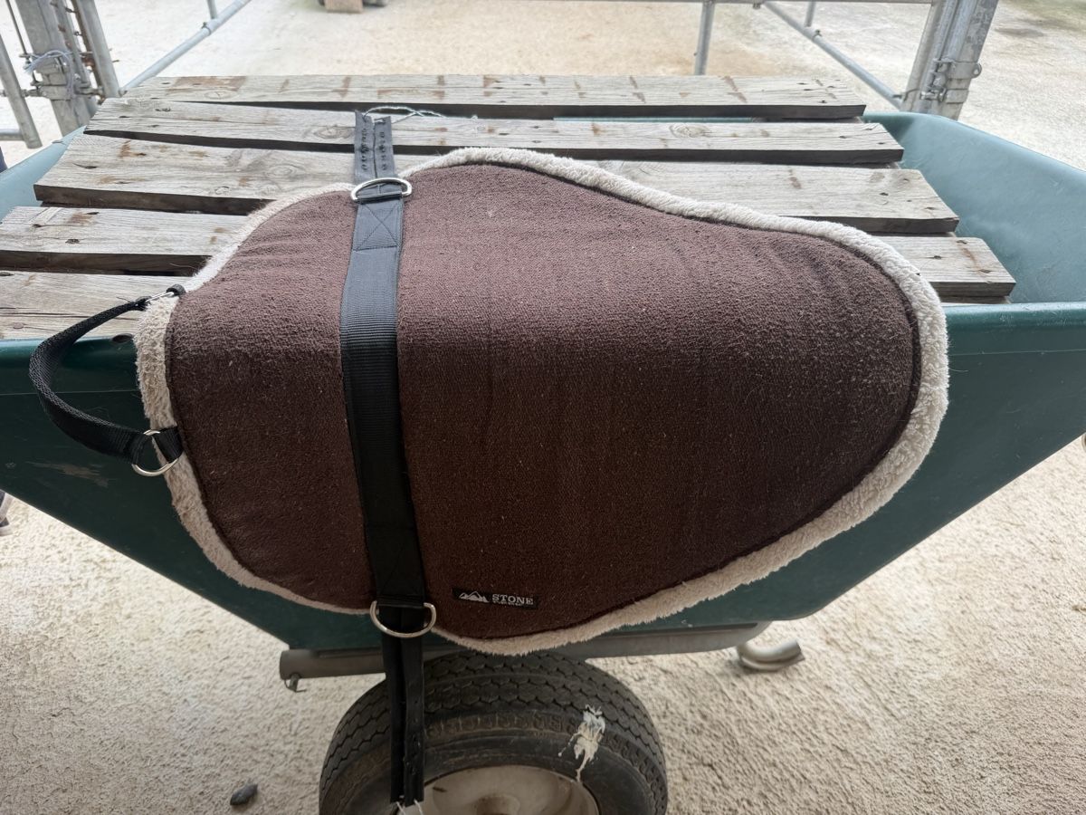 Selle & Accessori: STONEDEEK reit Sattel-Pad – Usato da Küssnacht am Rigi venduto da lar_8ykj 1