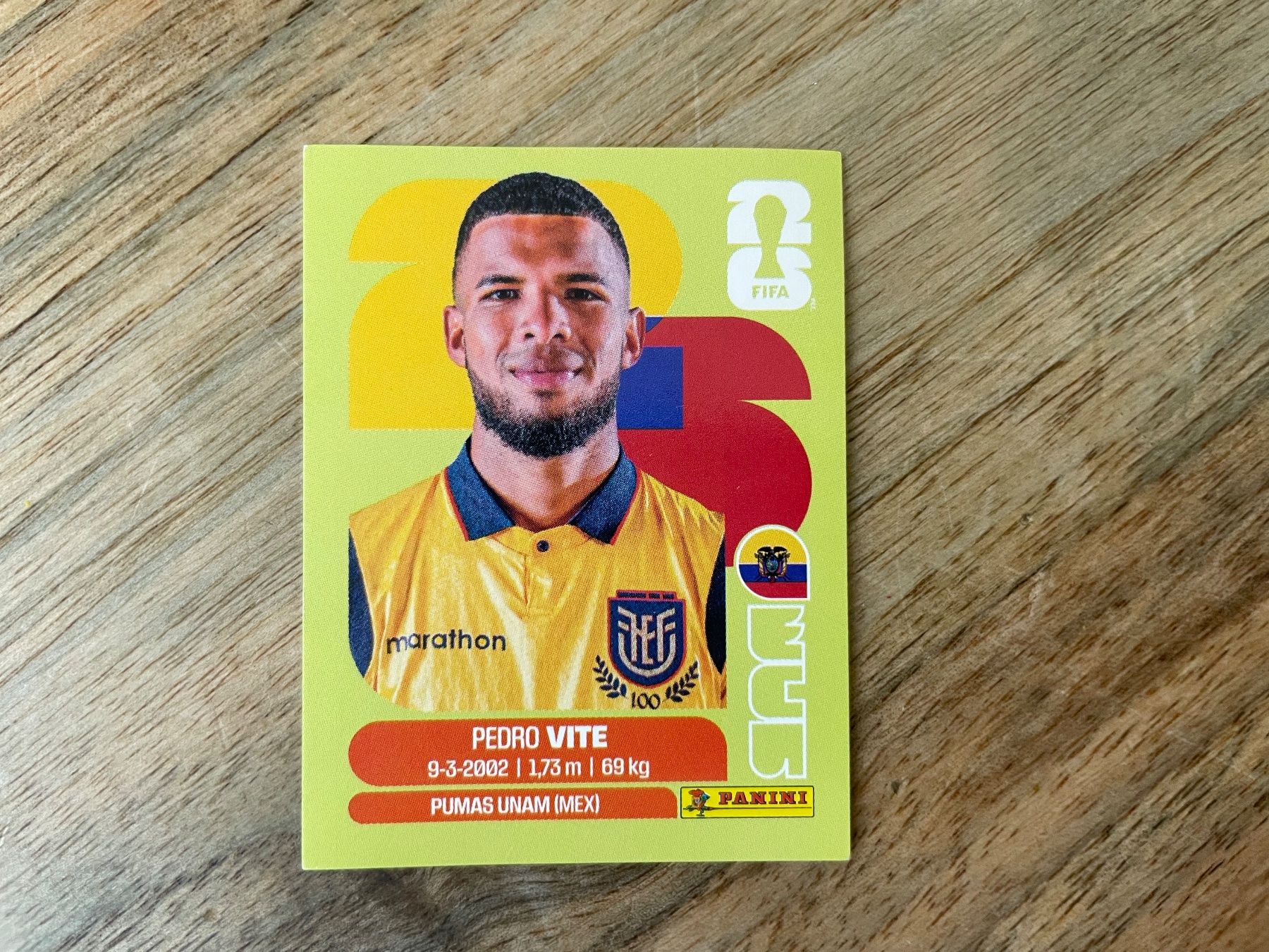 Panini Cartes à collectionner: Panini FIFA 2026 ECU 12 – D'occasion à Muri b. Bern par dindlerothler
