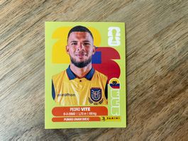 Panini FIFA 2026 ECU 12