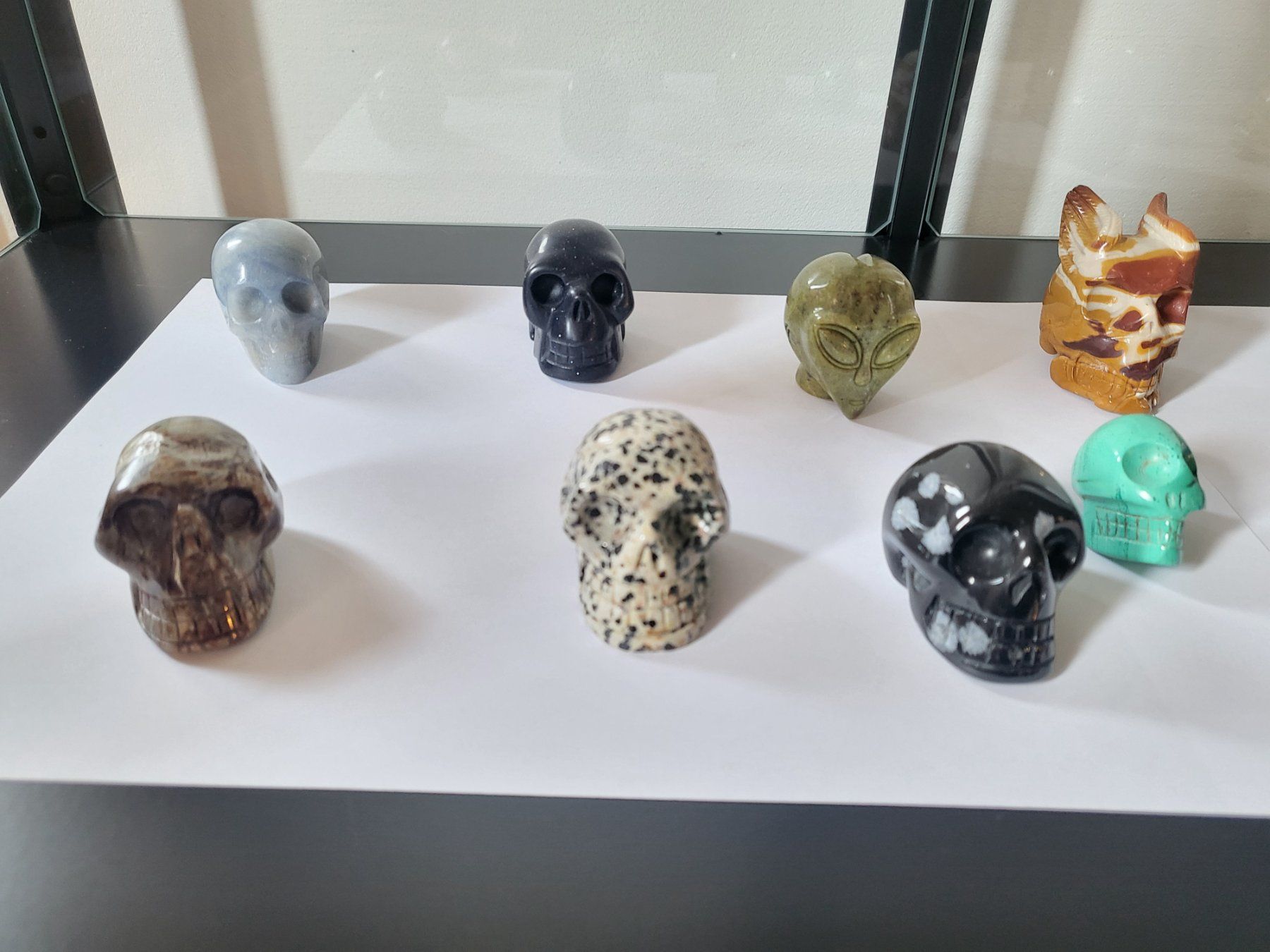Minerali & Pietre curative: Collection de 15 Crânes en pierres diverses – Usato da Orsonnens venduto da barbitroc 1