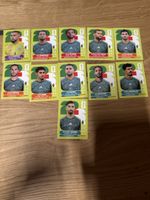 Panini Klebe Bilder WM 2026 Algerien