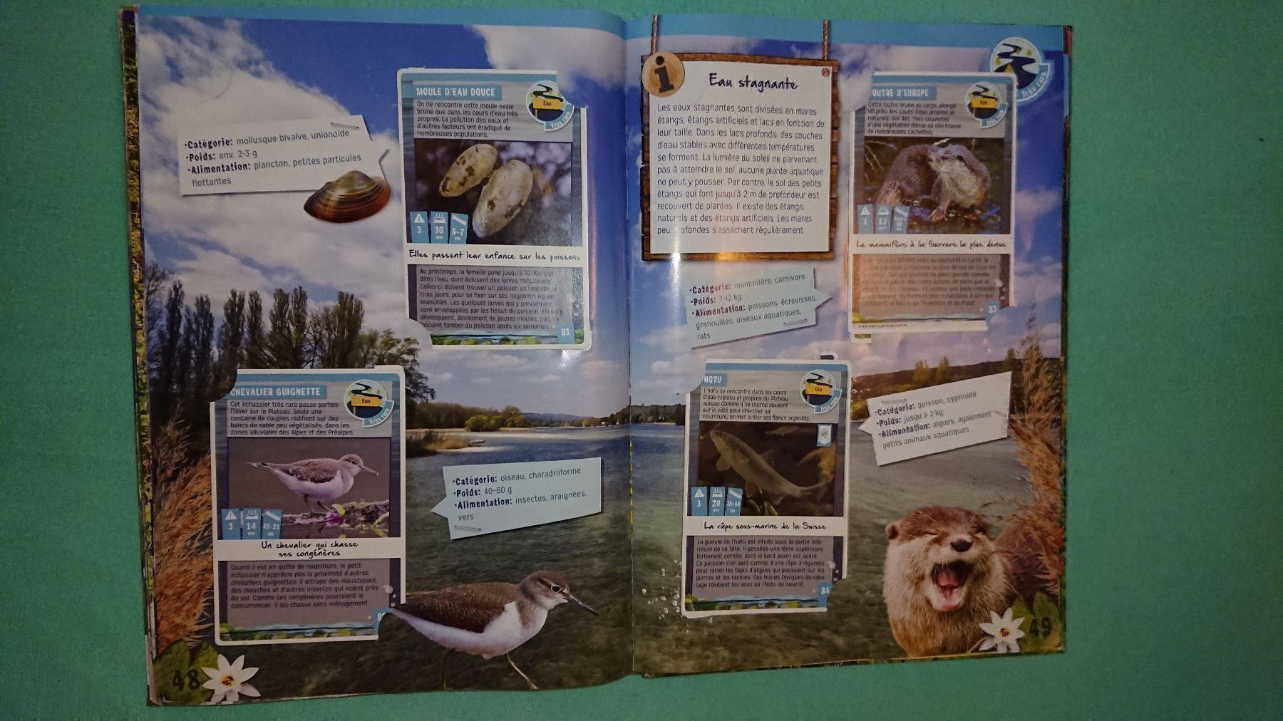 Libri: La Nature quelle Aventure – Usato da Cortaillod venduto da signep 4