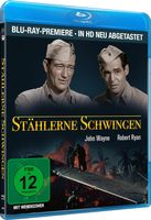 Stählerne Schwingen (Flying Leathernecks)