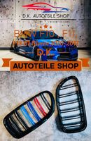 BMW Nieren M Doppelspeichen mit M Color für 5 er F10 F11 F18
