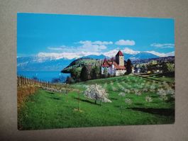 Ak Schloss Spiez am Thunersee Bern