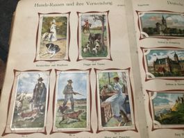 ANTIKES SAMMELALBUM NO.II UM 1900