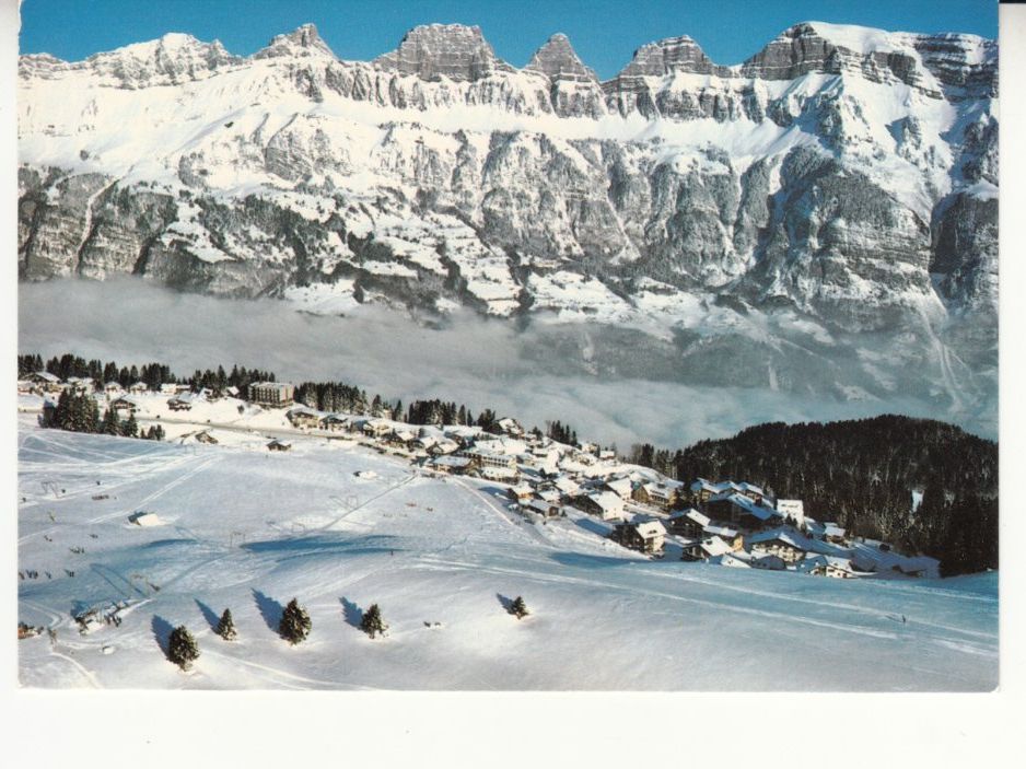 Cartoline postali: Tannenbodenalp 1984 – Usato da Bürglen TG venduto da StampGraf