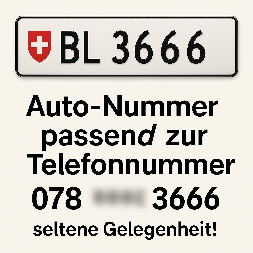 Insegne: Autonummer BL 3666 – Usato da Schmerikon venduto da Irylka 2