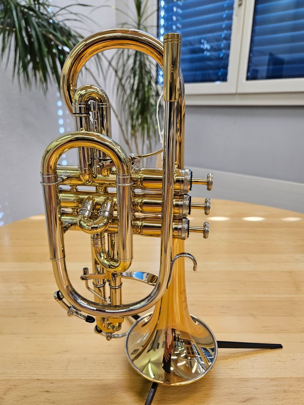 Strumenti musicali: Neuwertiges Bb Cornet WILLSON Celebration - Top Zustand! – Usato da Wangs venduto da adwil66lia