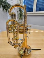 Neuwertiges Bb Cornet WILLSON Celebration - Top Zustand!