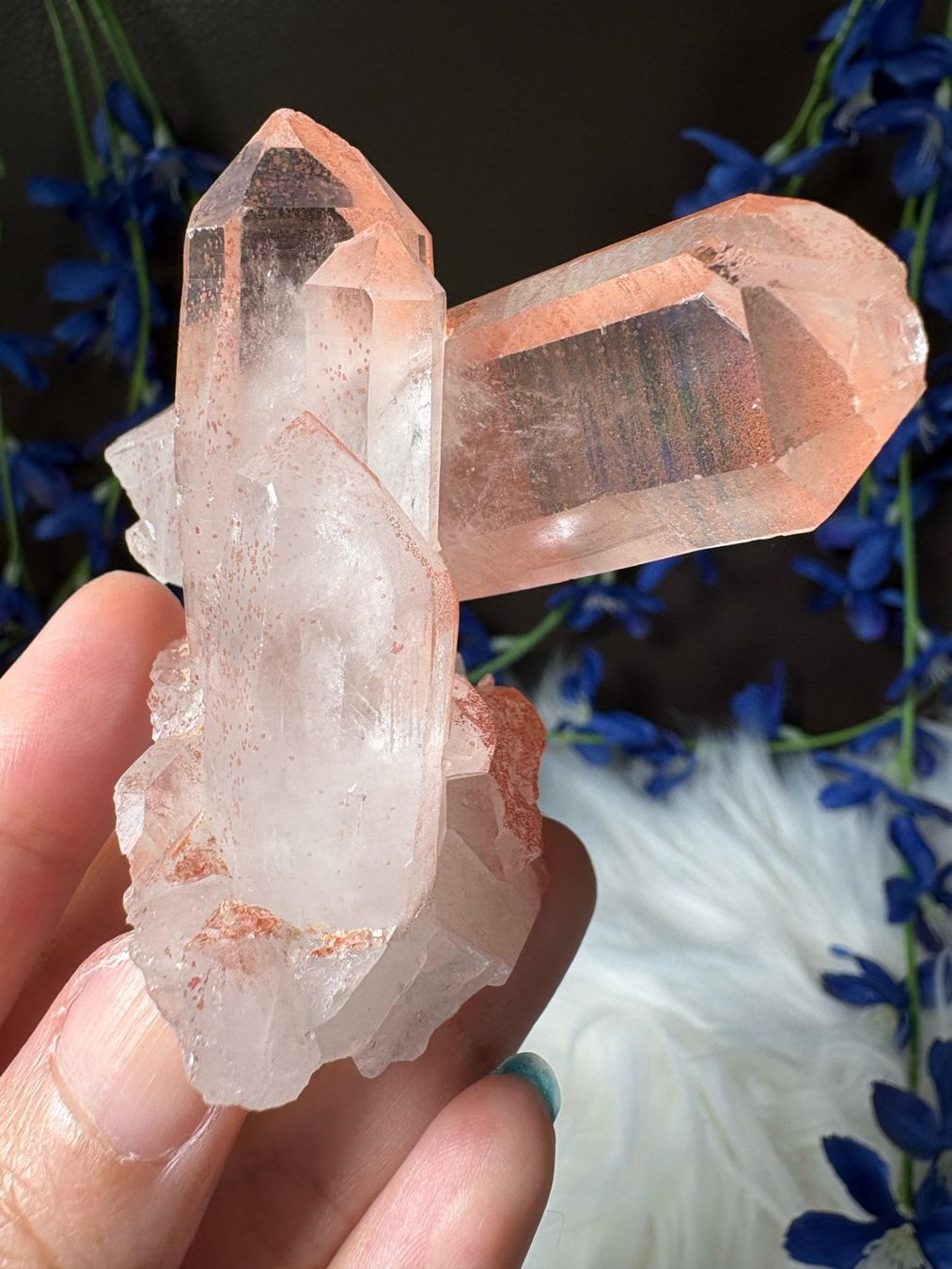 Minerali & Pietre curative: Rosa Quarz-Cluster – Nuovo (secondo la descrizione) da Neuheim venduto da m.hald 1
