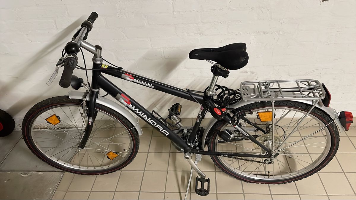 Winora Biciclette: Winora Mountainbike – Difettoso da Zürich venduto da spo_zxm7