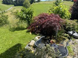 Teichwanne Gartenteich