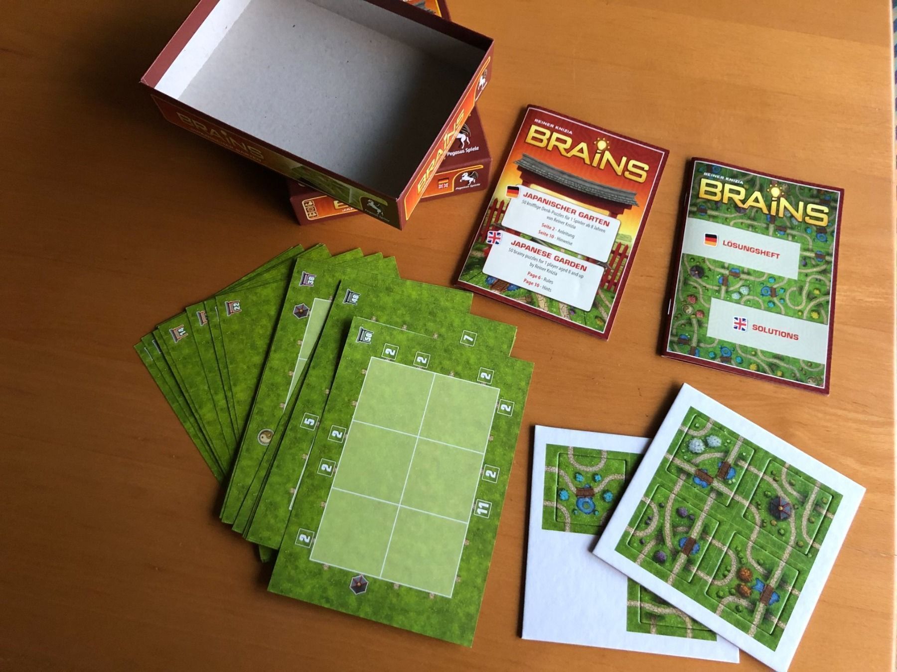 Giochi: Brains - 50 knifflige Denk-Puzzles – Usato da Hagendorn venduto da Teora66 2
