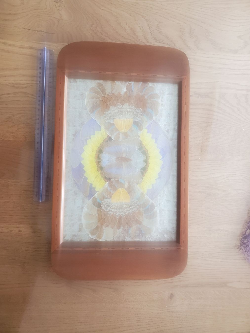 Dessous de verre: Antikes Schmetterlingsflügel-Tablett – D'occasion à Frauenfeld par BeneFull 7