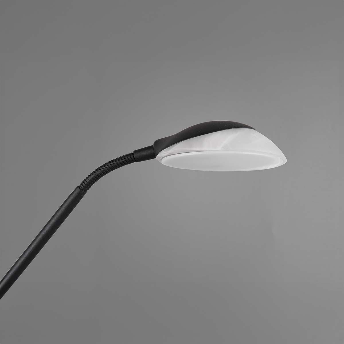 Lampen: LED Stehleuchte, Dimmbar, 180 cm Höhe – Neu (gemäss Beschreibung) aus Kreuzlingen von Smart-Light 3