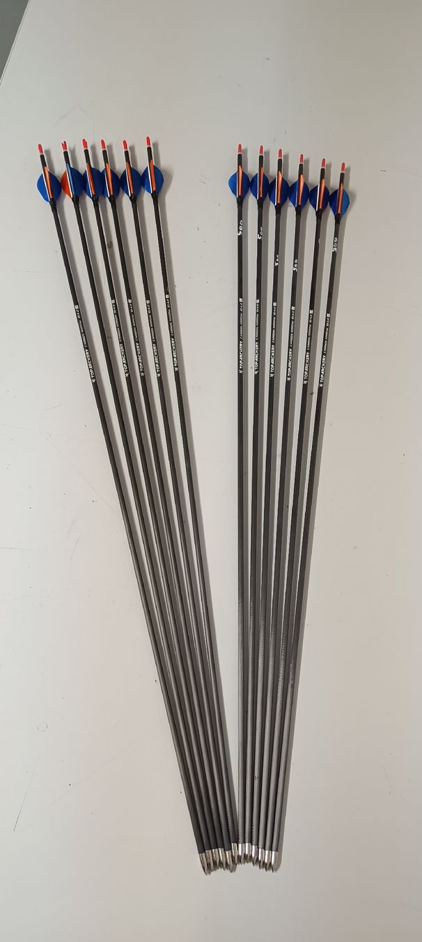 Tiro con l'arco: Carbon Pfeile – Usato da Rothrist venduto da Pfadfinder03 3