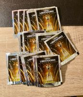Panini Copa Libertadores 2023 Tüten Preis pro Stk
