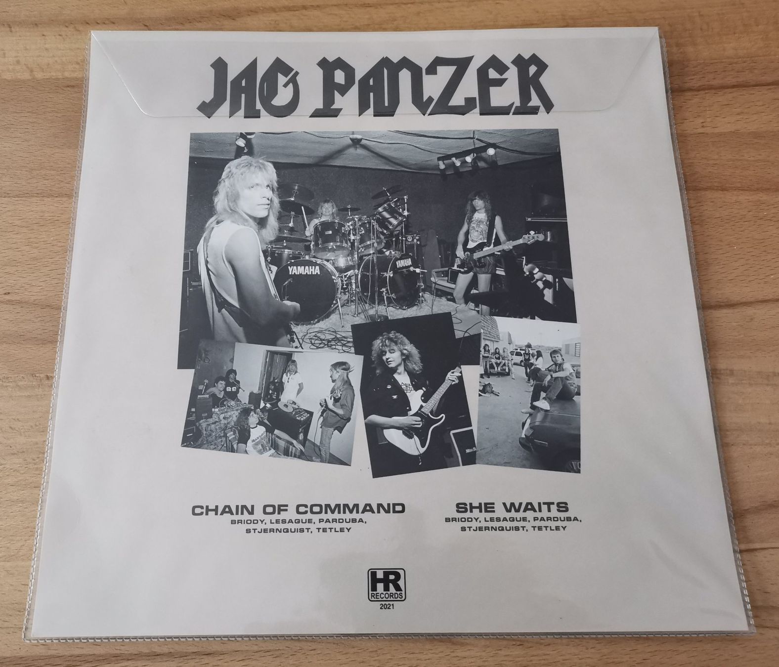 Dischi in vinile: JAG PANZER: Ample destruction Chain of command Pic Discs – Usato da Münchwilen TG venduto da Swb 2