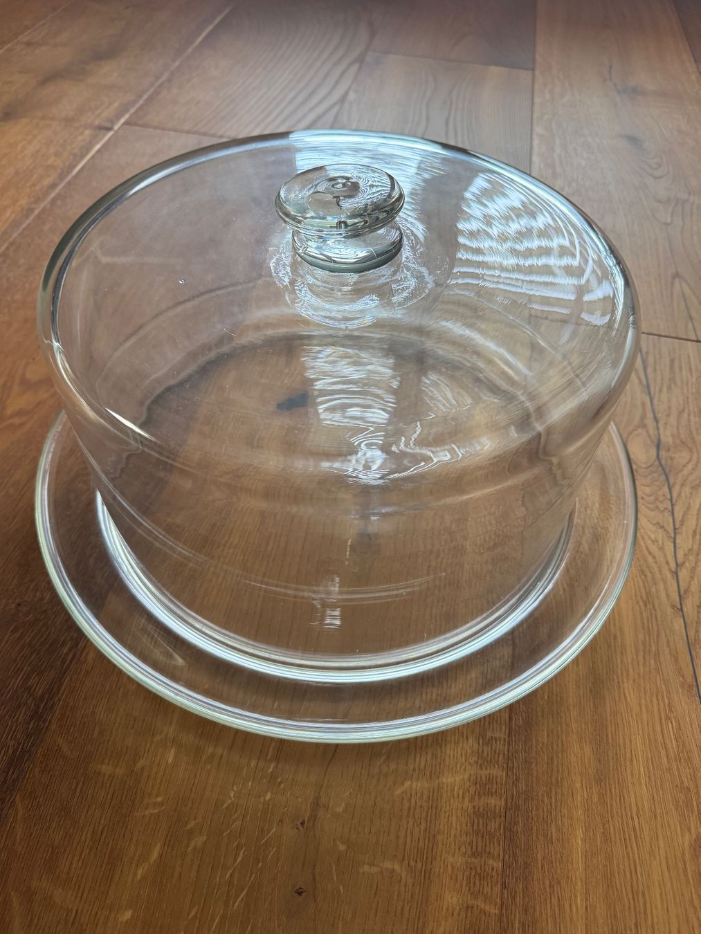 Verres: Prächtige Glasplatte mit Glasglocke – D'occasion à Thalwil par Batlizh