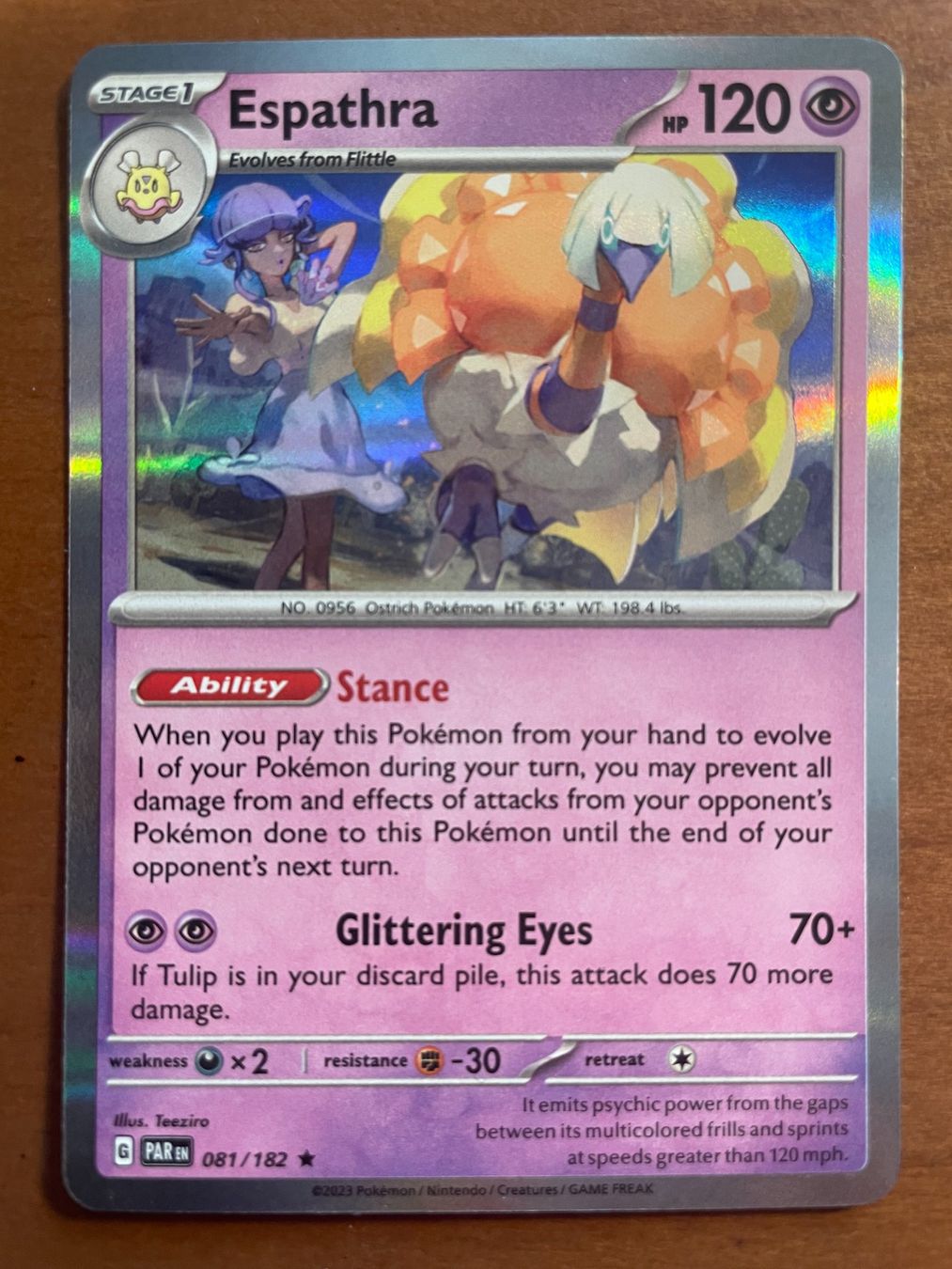 Pokémon Carte collezionabili: Pokemon Espathra Holo (Versand gratis) – Nuovo (secondo la descrizione) da Chur venduto da Angerson