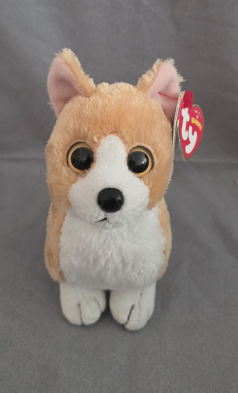 Ty Jouets: Plüschtier Corgi Hund Beanie Babies  – Neuf (Voir description) à Hallwil par lulu14 1