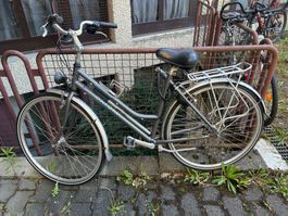 Vélo Oxford Wellington dame, idéal pour la ville