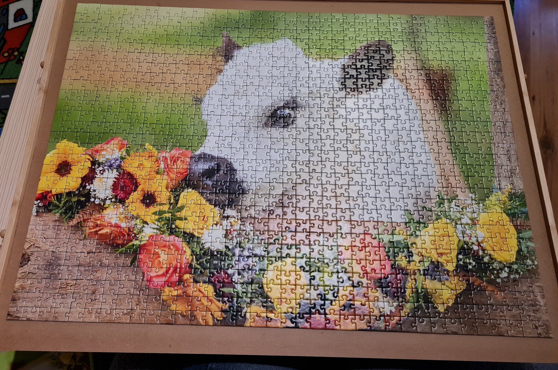 Puzzle: Puzzle Kuh 1000 Teile – Nuovo (secondo la descrizione) da Lüterkofen venduto da Bakoco 1