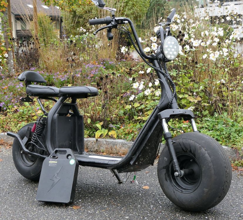 Wunderschne Elektro Scooter Gnstig Bildernull