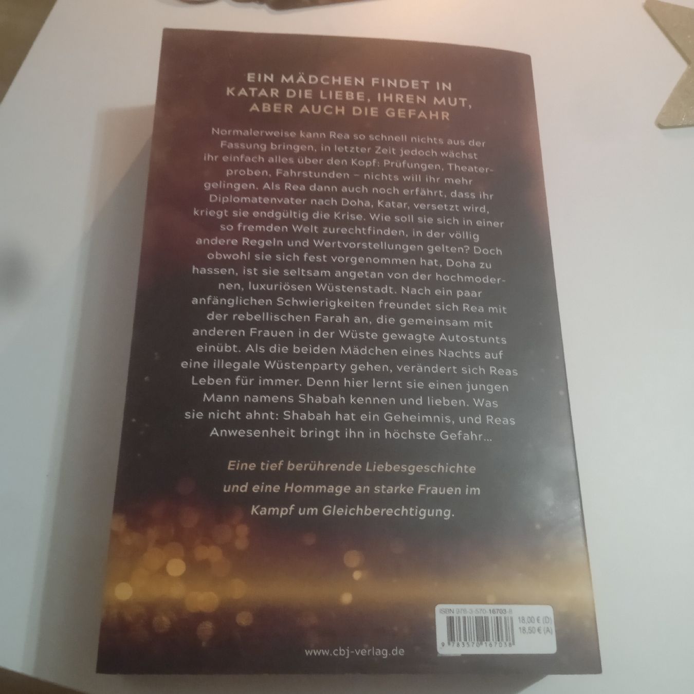Libri: Sturm Flirren – Usato da Pratteln venduto da bue_s5jc 1