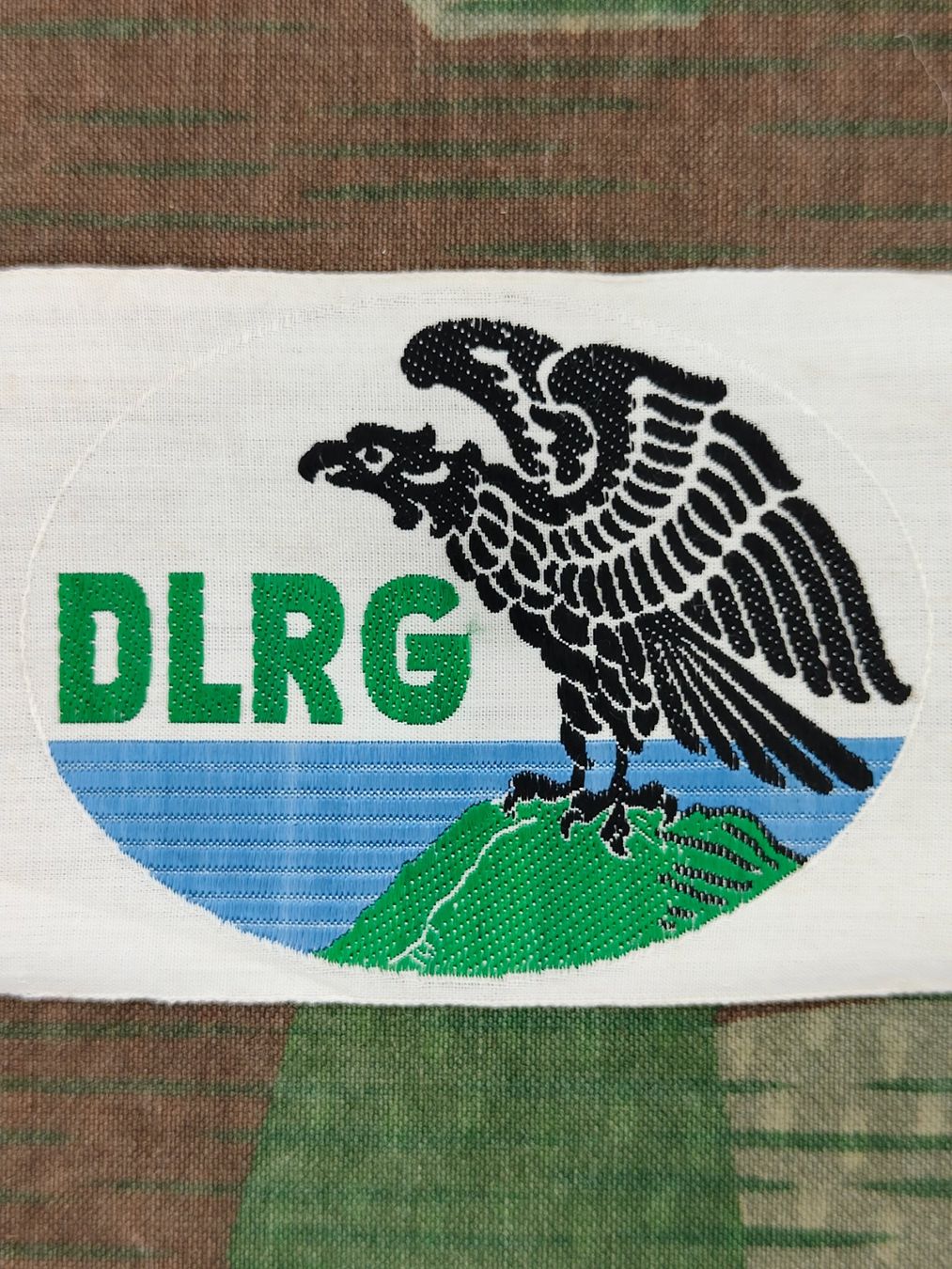 Placchette & Badge: Abzeichen DLRG – Usato da Bauma venduto da SwissMilitaria 1
