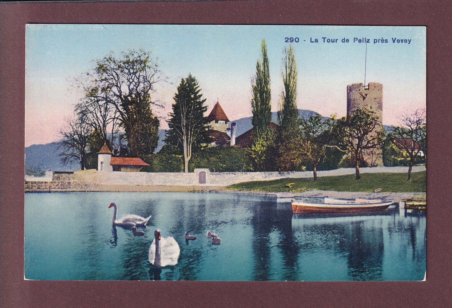 Cartoline postali: La TOUR-DE-PEILZ - Cygnes – Usato da Pully venduto da nicecards