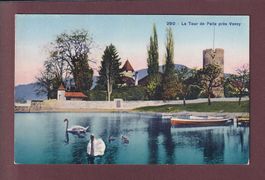La TOUR-DE-PEILZ - Cygnes