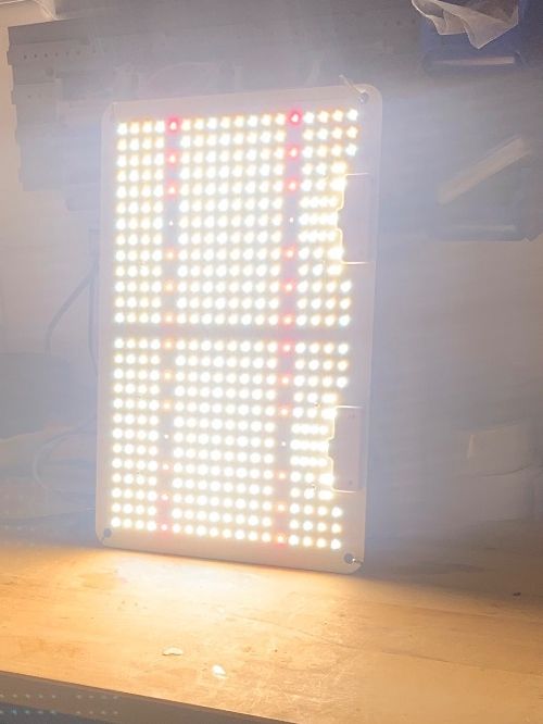 Lampes: Blumenlampe – D'occasion à Nenzlingen par markus1403