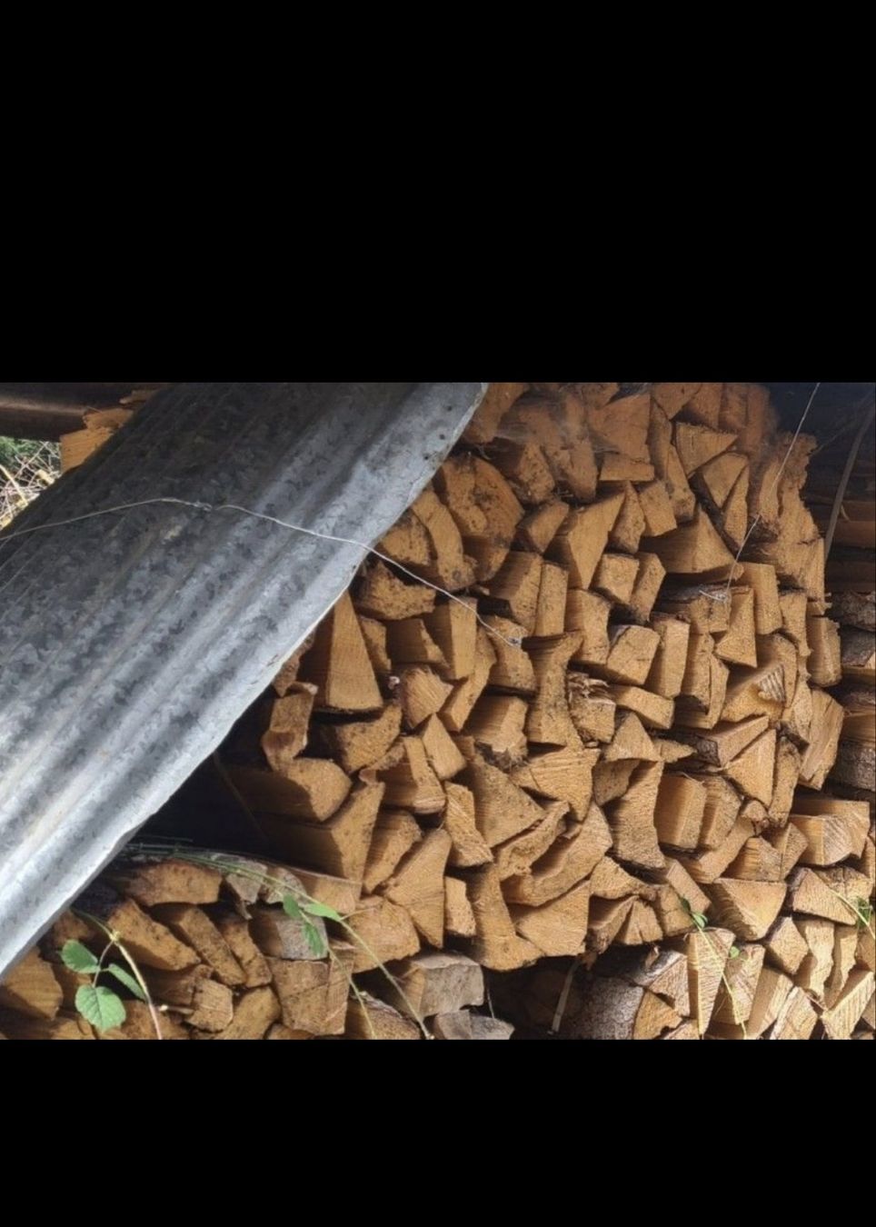 Articoli in legno: Tanen Brennholz dür – Nuovo (secondo la descrizione) da Kaltacker venduto da chr_68qp