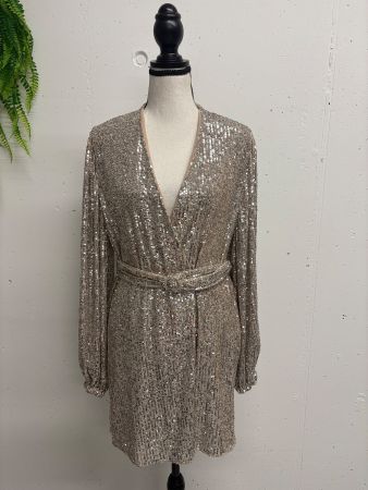 Zara Kleid mit Pailletten nude gold Gr. S Gürtel Strass