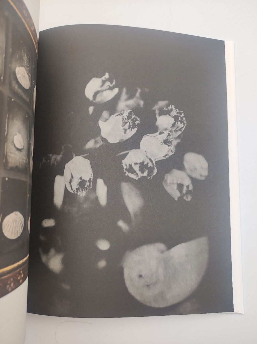 Libri: PHOTOBOOK - STEFFEN DIEMER – Nuovo (secondo la descrizione) da Goldach venduto da Gaip 1