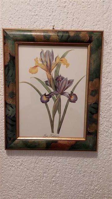 Foto & Immagini: Blumenbild "Iris" (siehe Abbildung) – Nuovo (secondo la descrizione) da Oberrohrdorf venduto da Heinzwu