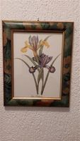 Blumenbild "Iris" (siehe Abbildung)