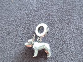 Silber Charm Bulldog +Garantie