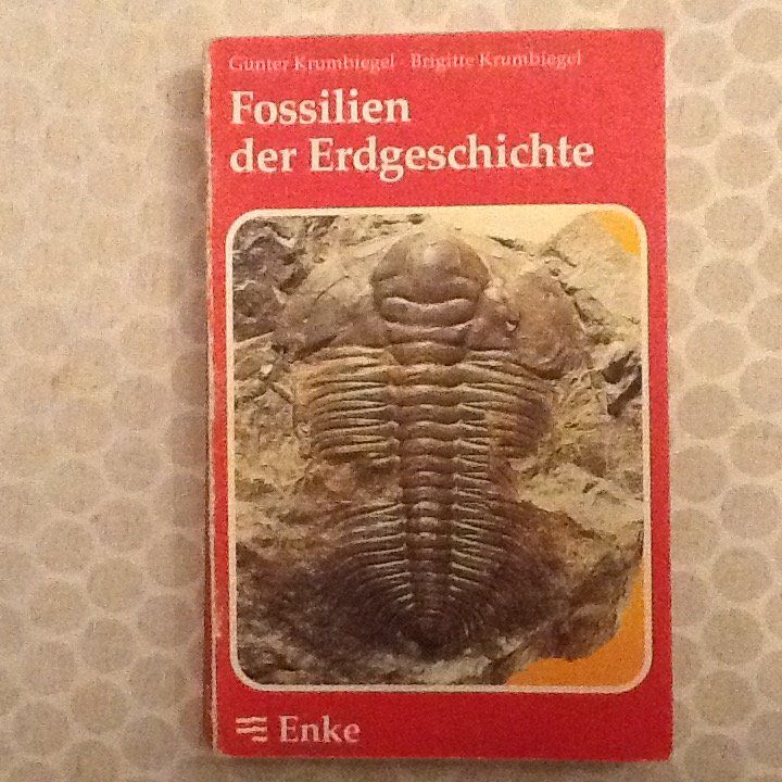 Libri: Fossilien von Krumbiegel – Usato da Olten venduto da smiples