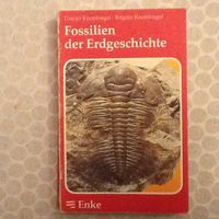 Fossilien von Krumbiegel